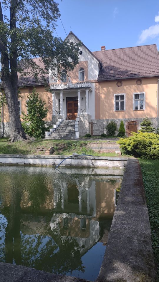 dom wolnostojący, 11 pokoi Kotla, ul. Głogowska. Zdjęcie 2