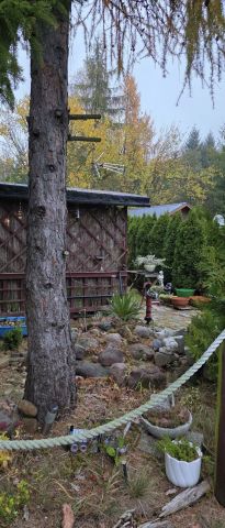 Działka rod Samociążek. Zdjęcie 1