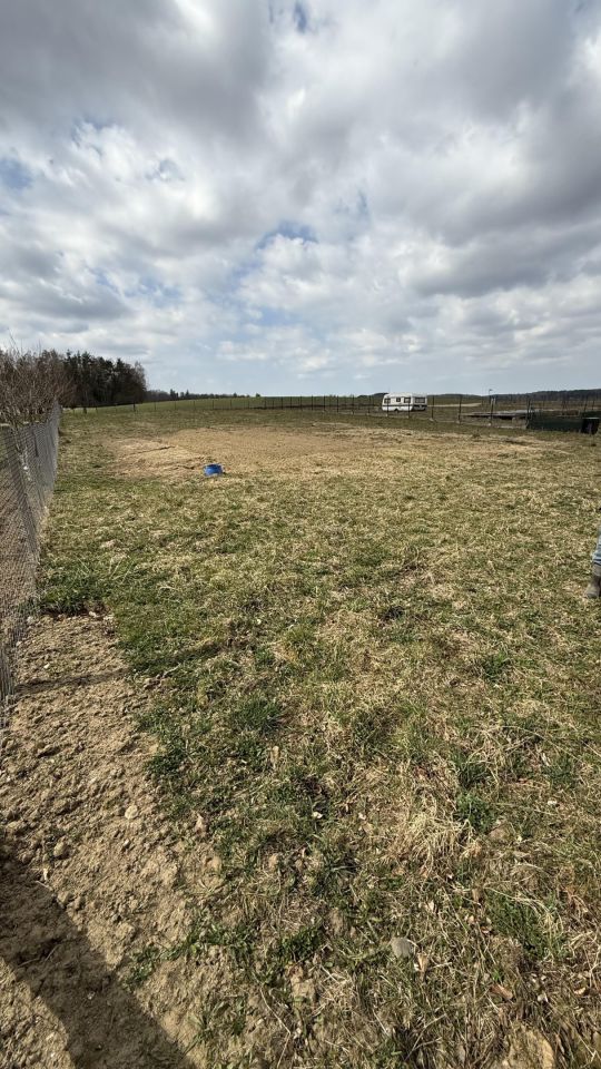 Działka rekreacyjna Lewinko, ul. Polna. Zdjęcie 14