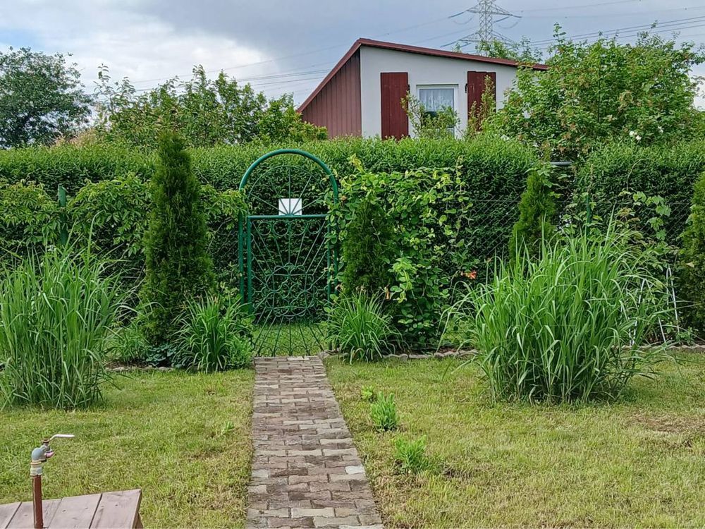 Działka rod Wójtowo. Zdjęcie 4