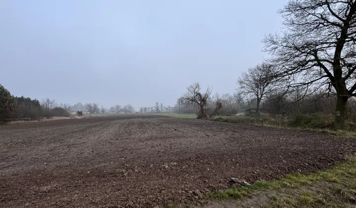 Działka rolna Szymanów, ul. Mostowa