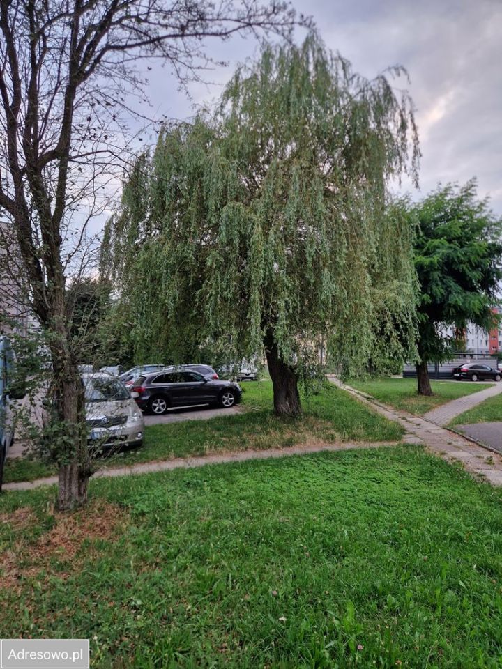 Mieszkanie 3-pokojowe Skarżysko-Kamienna, ul. Konopnickiej. Zdjęcie 5