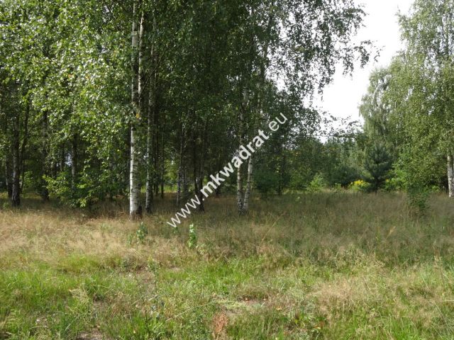 Działka budowlana Ojrzanów. Zdjęcie 2