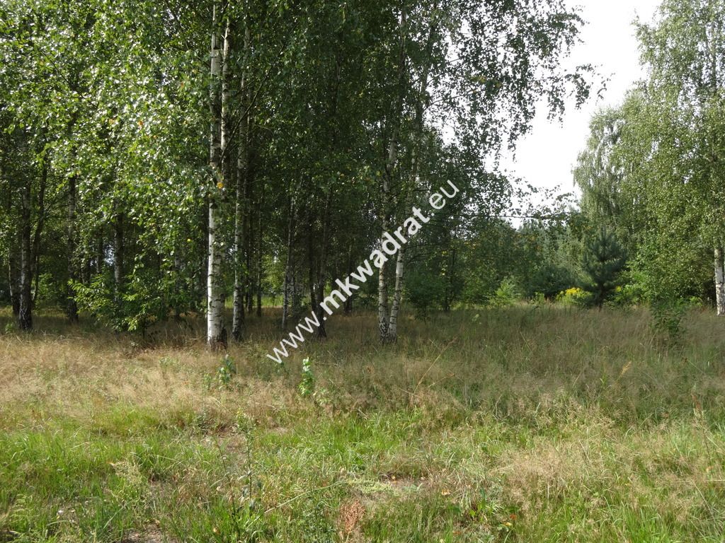 Działka budowlana Ojrzanów. Zdjęcie 2