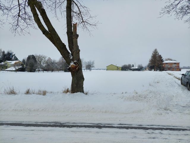 Działka siedliskowa Strzelce. Zdjęcie 3