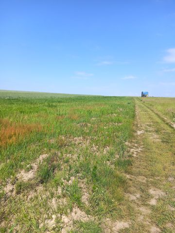 Działka rolna Trzebawie. Zdjęcie 1