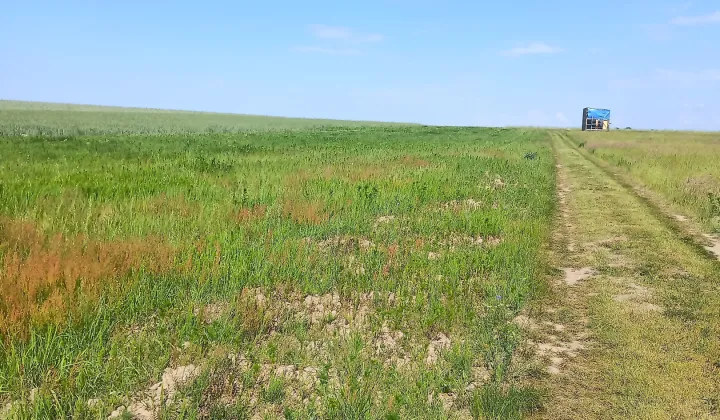 Działka rolna Trzebawie