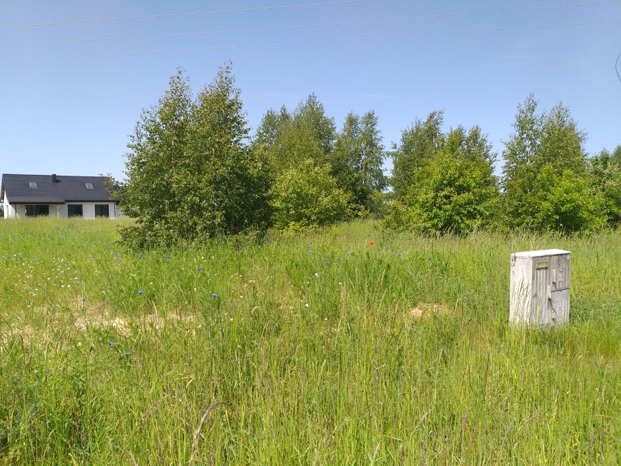 Działka budowlana Biskupin, Wiejska. Zdjęcie 3