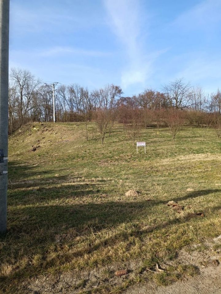 Działka budowlana Kobierniki. Zdjęcie 2