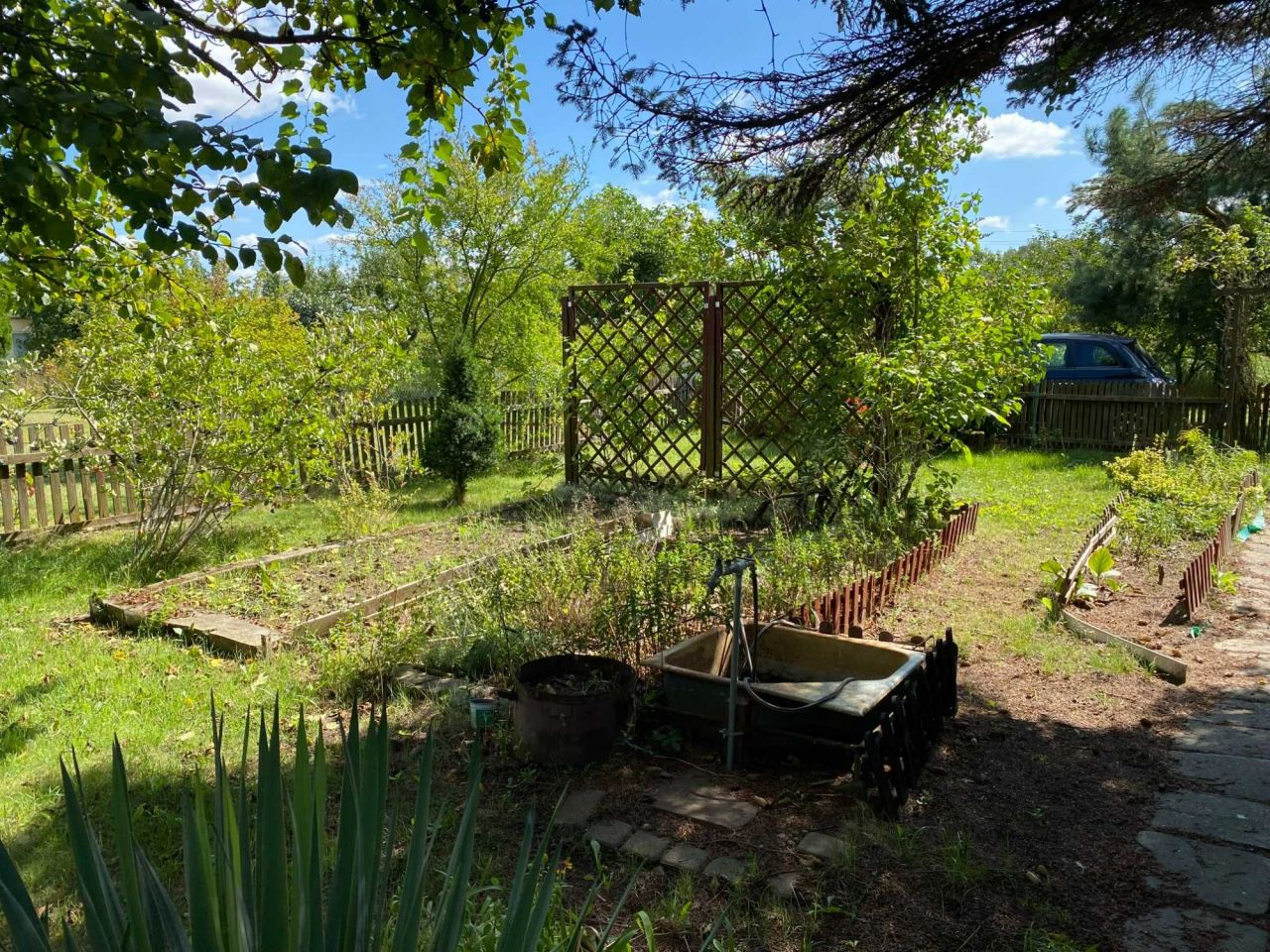 Działka rod Lubin. Zdjęcie 4