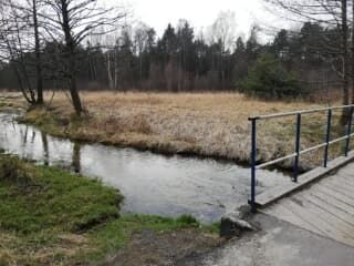 Działka budowlana Chechło Młyny, ul. Leśna. Zdjęcie 17