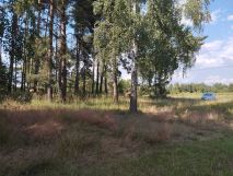 Działka budowlana Boronów