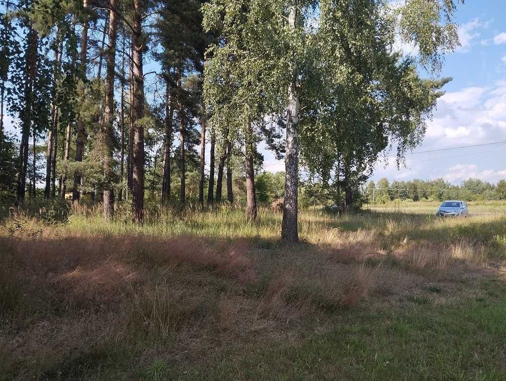 Działka budowlana Boronów