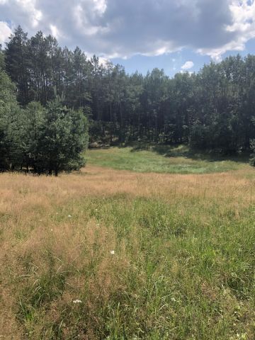 Działka rolno-budowlana Żelichowo. Zdjęcie 4