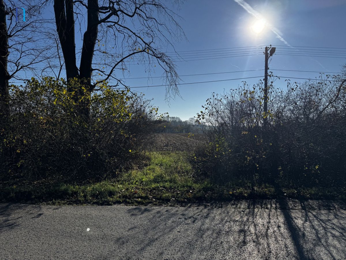 Działka siedliskowa Kolonia Łaznów. Zdjęcie 11