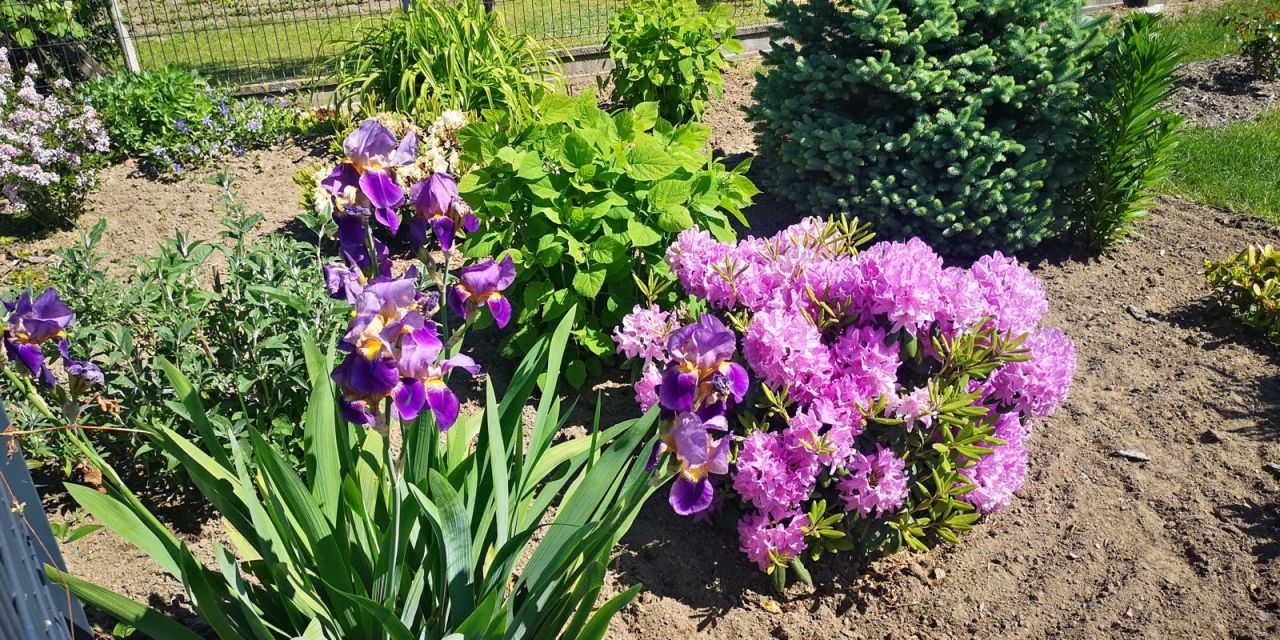 Działka rekreacyjna Wawrów. Zdjęcie 18