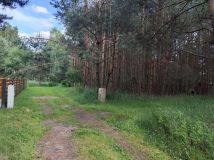 Działka rekreacyjna Ostrowy nad Okszą Zadworze, ul. Oleńki. Zdjęcie 3