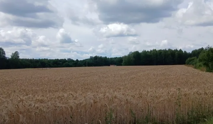 Działka budowlana Boża Wola