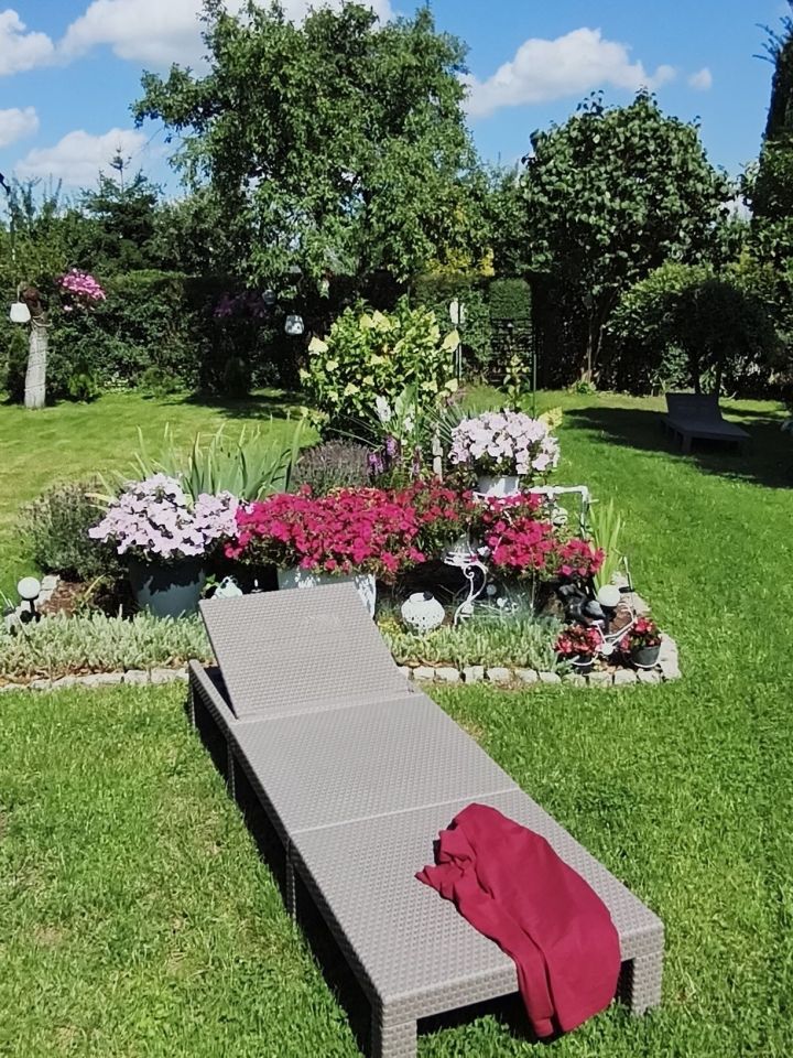 Działka rod Pszów. Zdjęcie 2