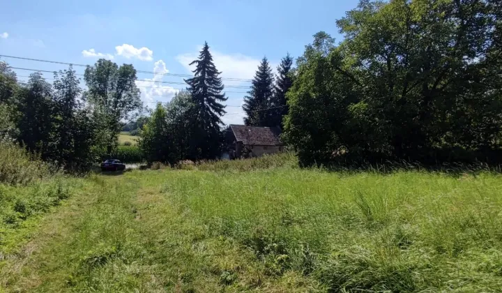 Działka rolno-budowlana Niedźwiednik