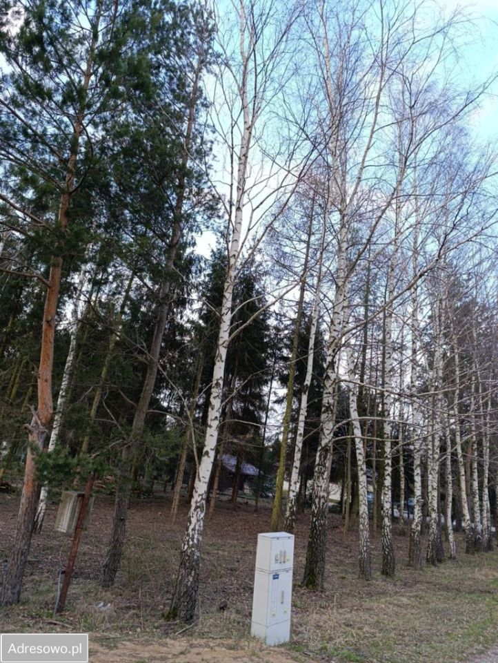 Działka budowlana Kuranów. Zdjęcie 4