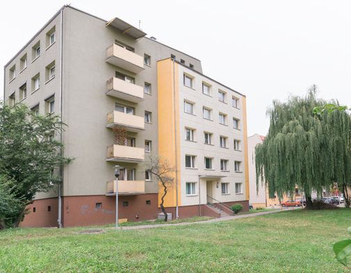 Mieszkanie 2-pokojowe Poznań Jeżyce, ul. Mylna. Zdjęcie 7