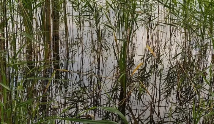 Działka budowlana Stary Sumin