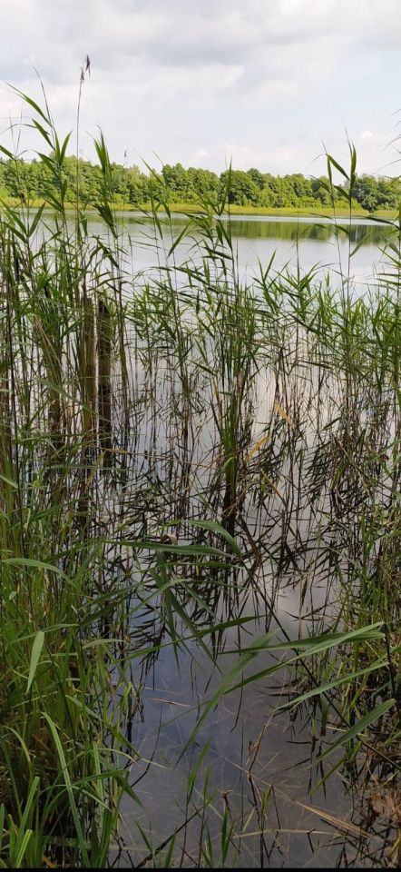 Działka budowlana Stary Sumin. Zdjęcie 1
