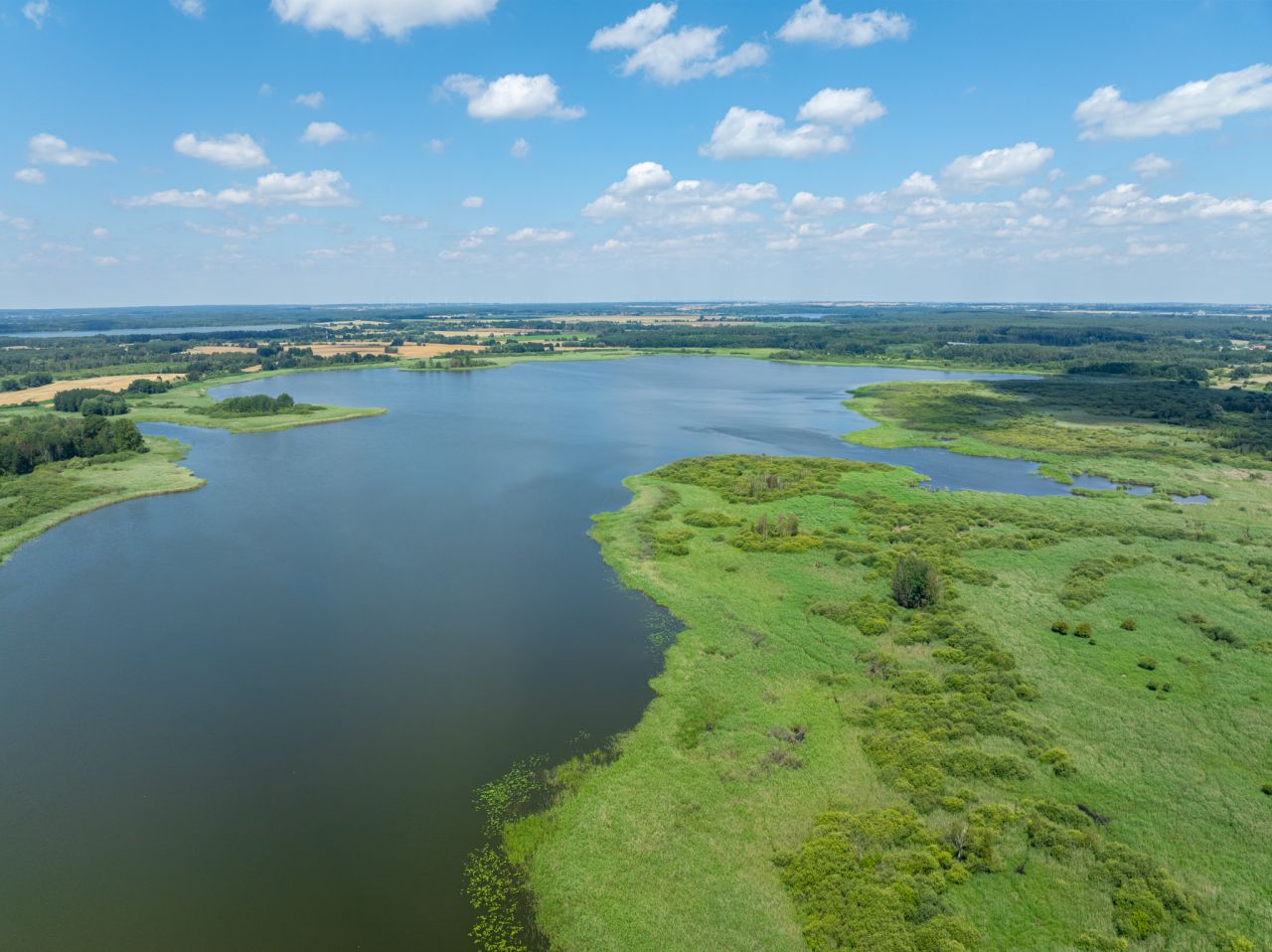 Działka inwestycyjna Dąbrowa. Zdjęcie 3