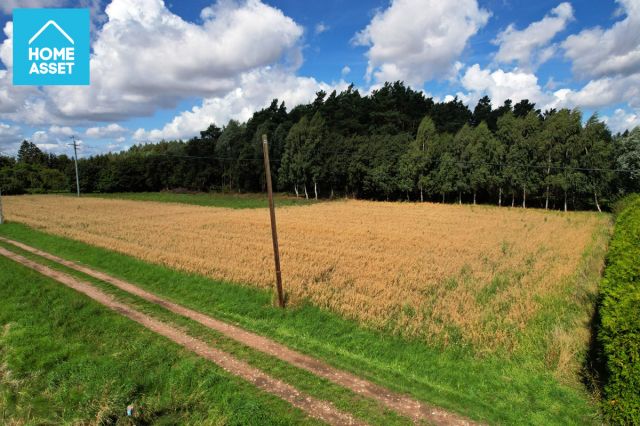 Działka budowlana Piaskowiec. Zdjęcie 10