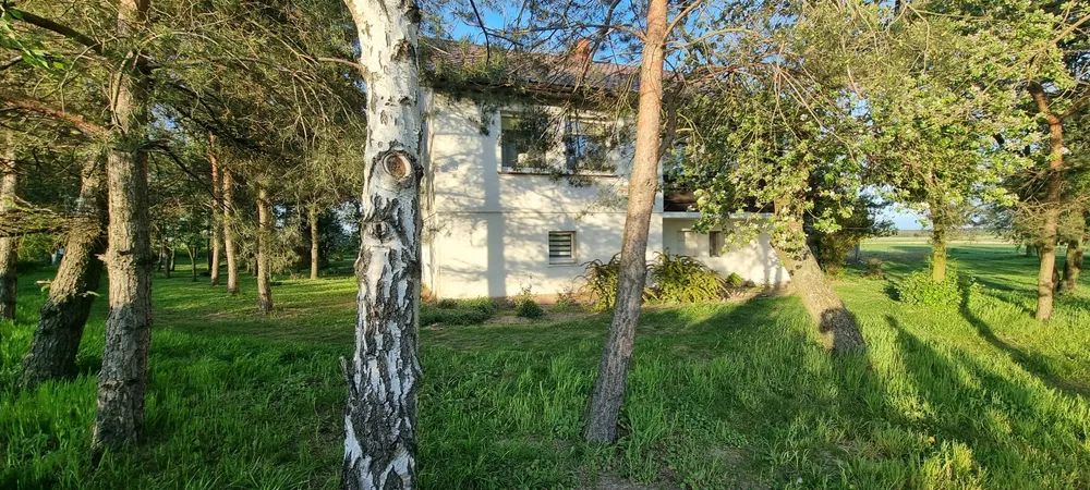 dom wolnostojący, 4 pokoje Broniszewice. Zdjęcie 3