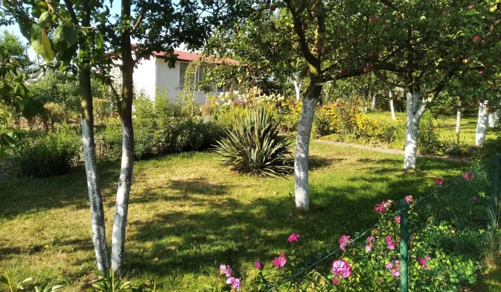 Działka rod Racibórz, ul. Opawska