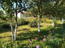 Działka rod Racibórz, ul. Opawska