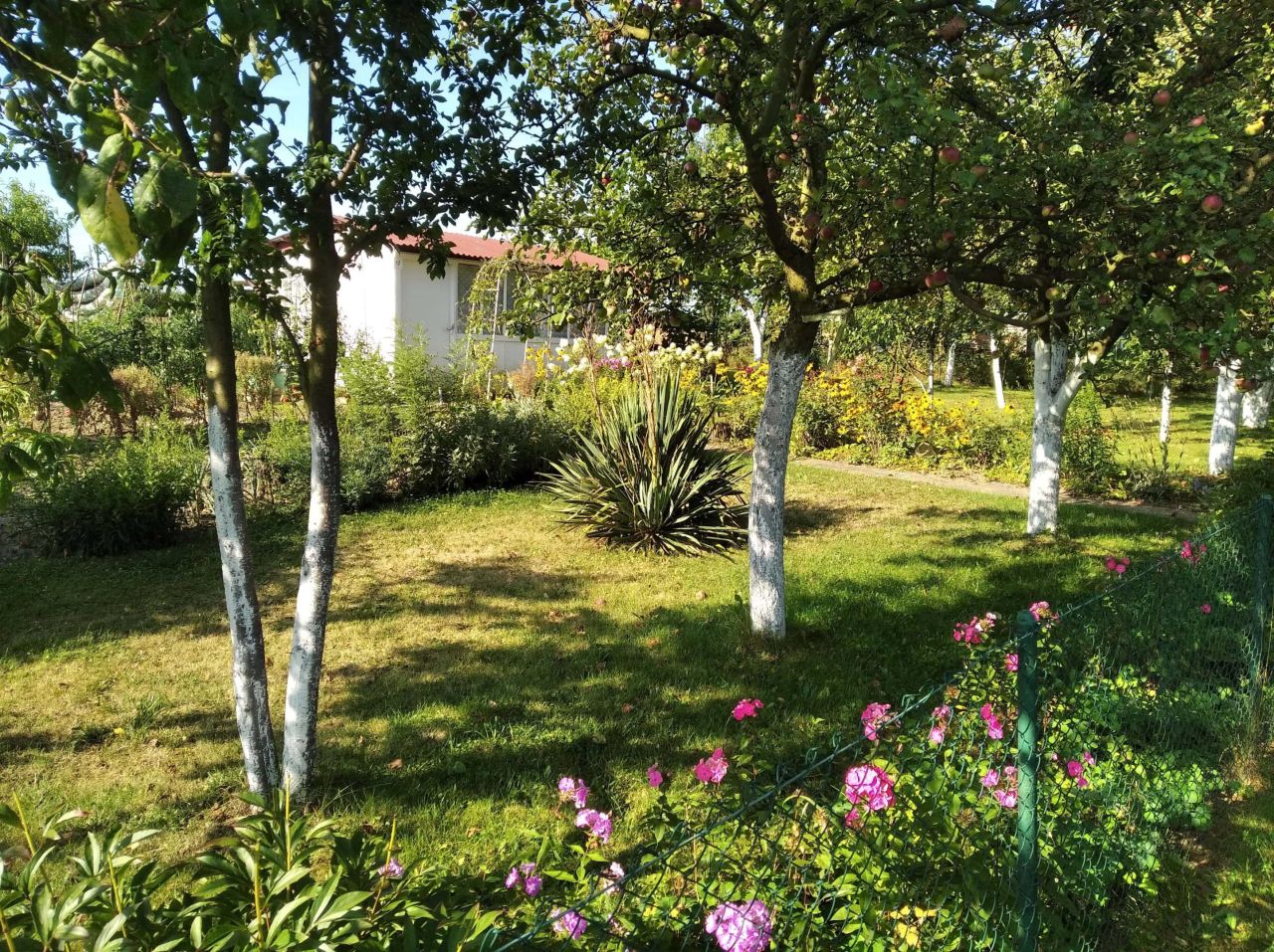 Działka rod Racibórz, ul. Opawska