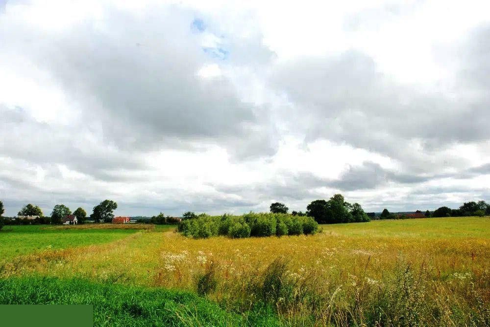 Działka rolno-budowlana Szymonka. Zdjęcie 19