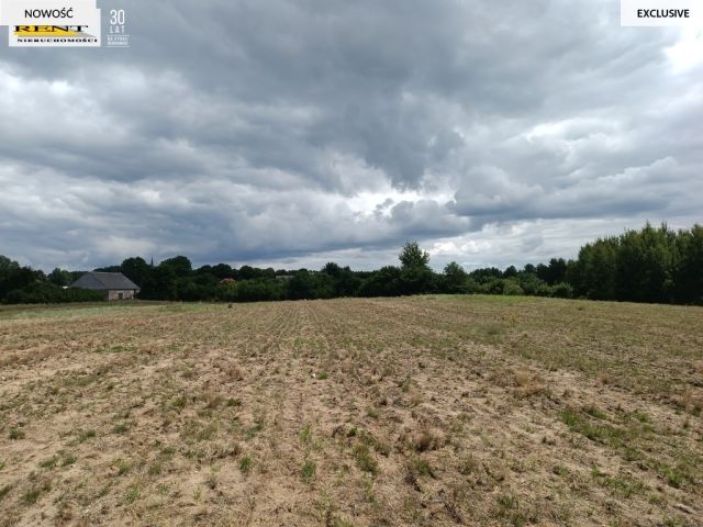 Działka rolna Długie. Zdjęcie 4