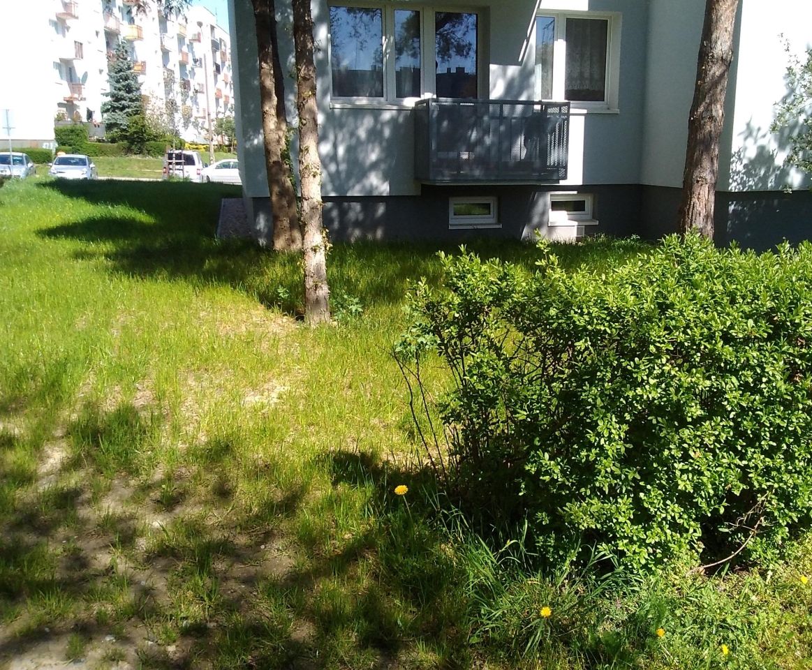 Mieszkanie 3-pokojowe Świdnica. Zdjęcie 20