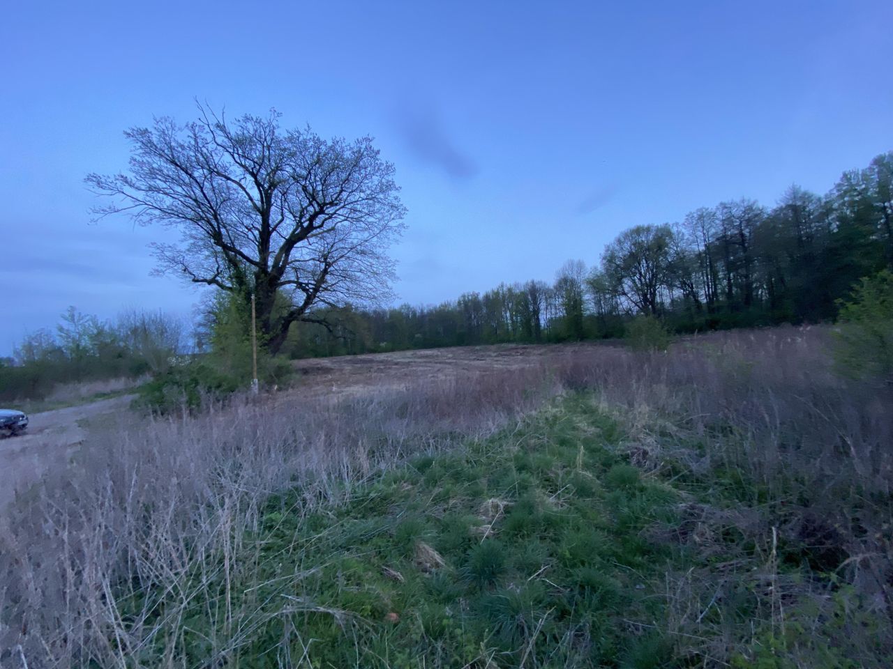 Działka budowlana Turawa, ul. Ogrodowa. Zdjęcie 7