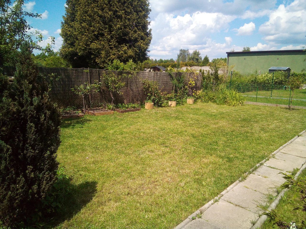 Działka rod Poręba, ul. Modrzewiowa. Zdjęcie 3