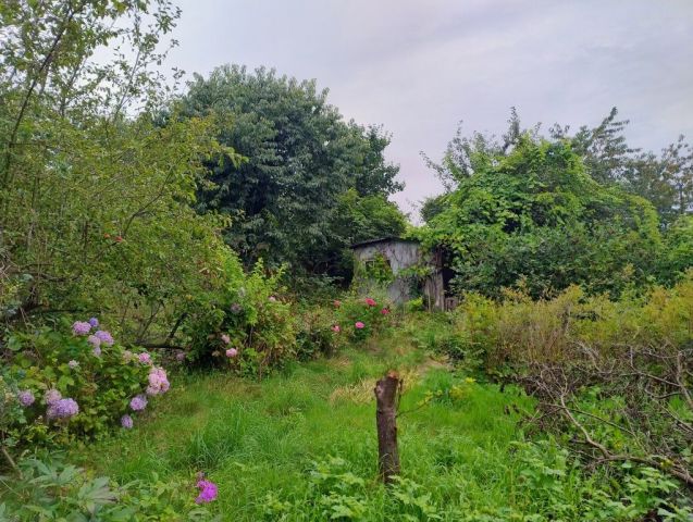 Działka rod Gdynia Mały Kack. Zdjęcie 1