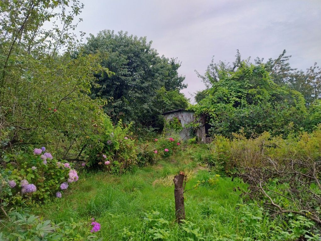 Działka rod Gdynia Mały Kack