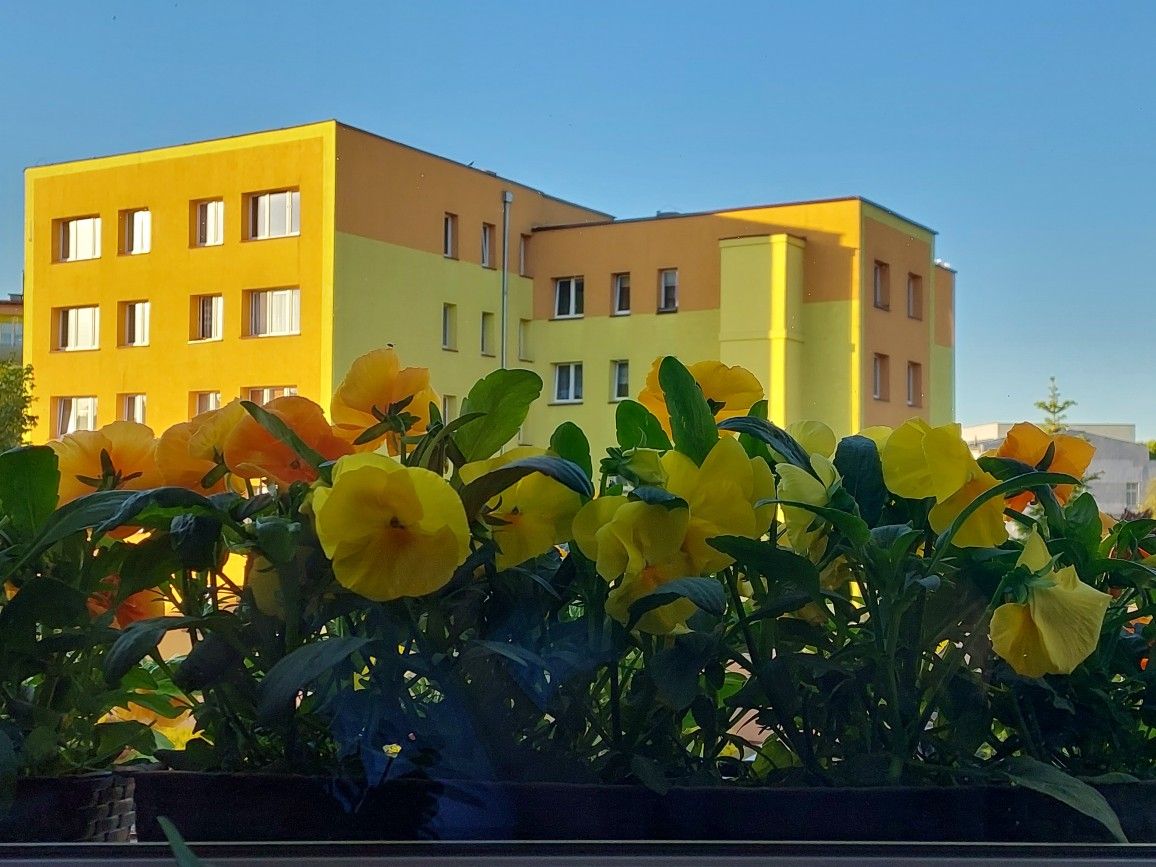 Mieszkanie 3-pokojowe Czarne, ul. Moniuszki. Zdjęcie 6