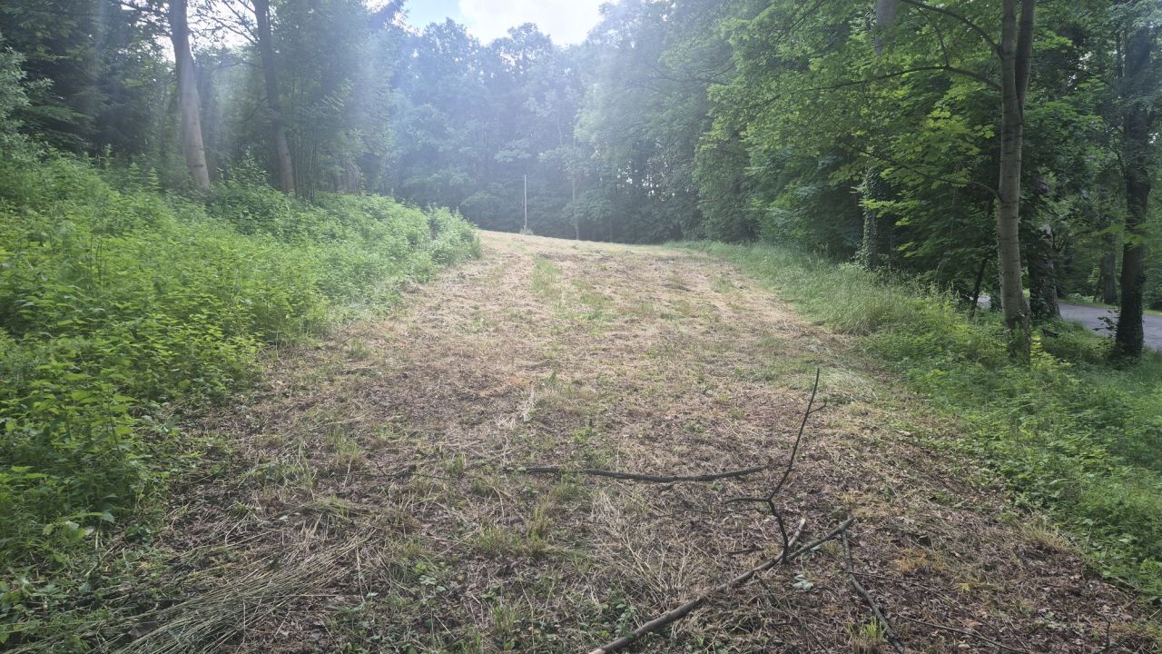 Działka rekreacyjna Świerzawa. Zdjęcie 7