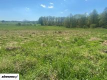 Działka rolno-budowlana Bądzów. Zdjęcie 1