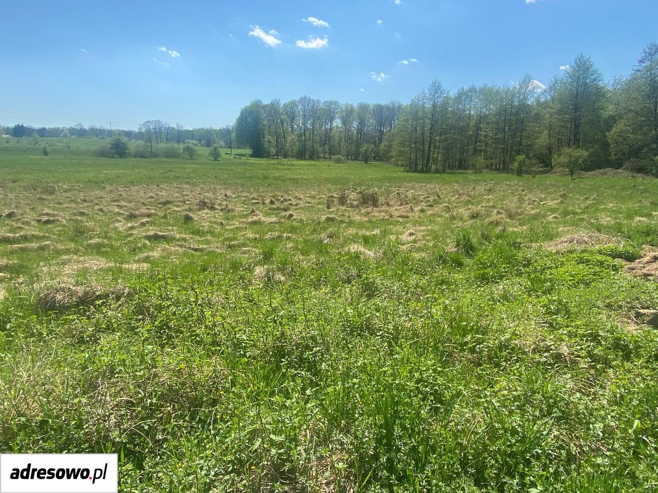 Działka rolno-budowlana Bądzów. Zdjęcie 2