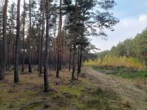 Działka Klamy. Zdjęcie 1