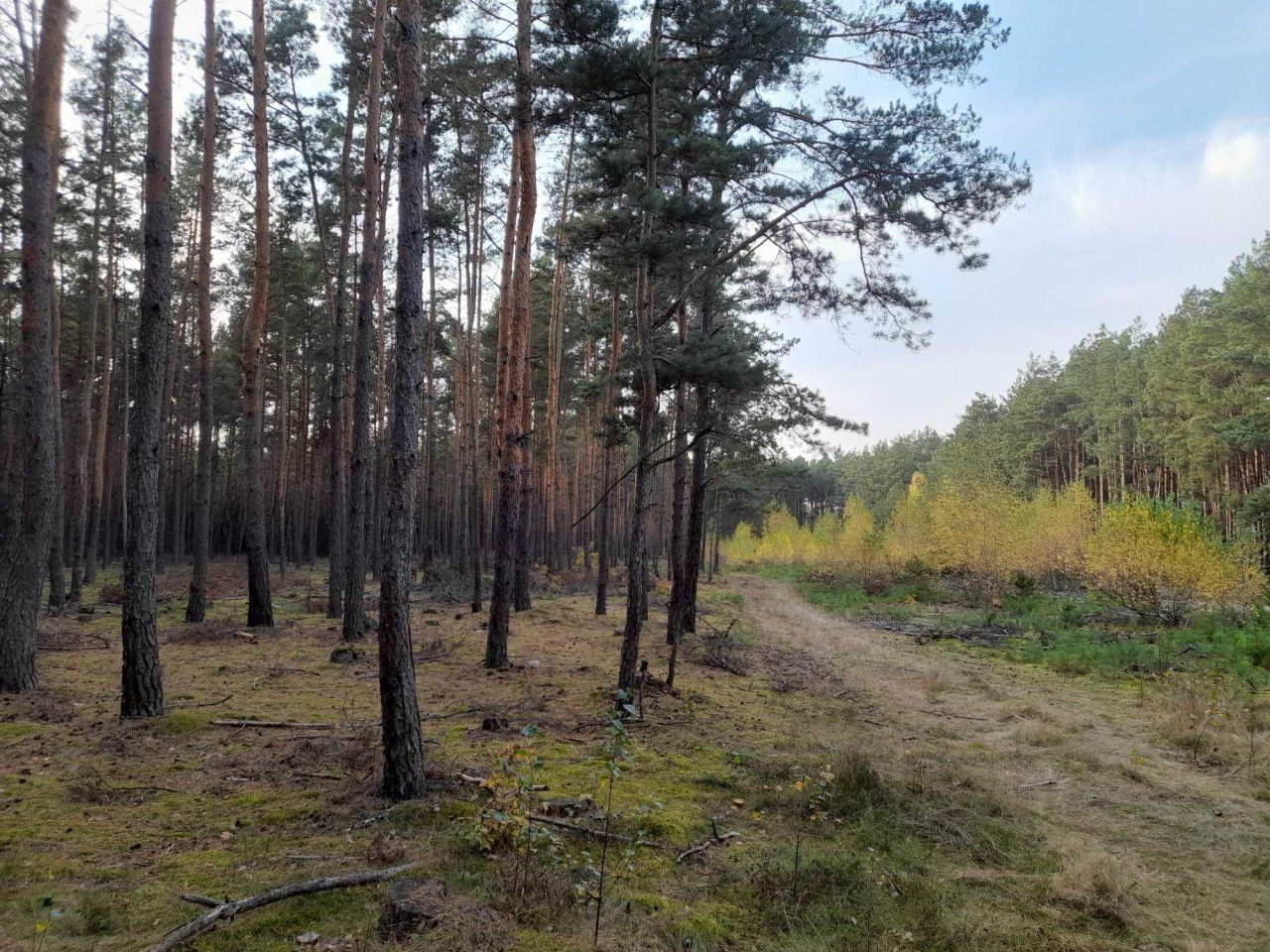 Działka Klamy. Zdjęcie 2