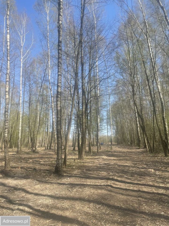 Działka budowlana Zaręby, ul. Kuropatwy. Zdjęcie 2