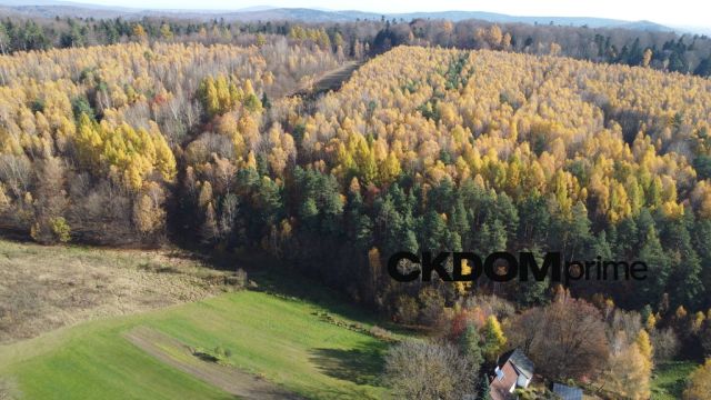 Działka rolna Cisów. Zdjęcie 4