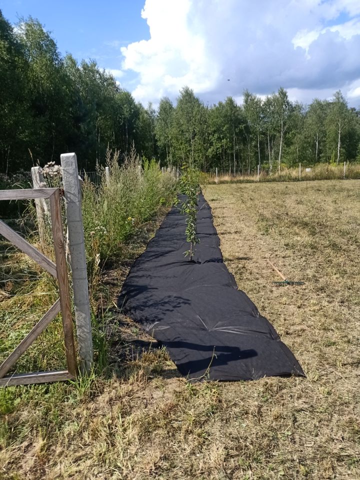 Działka rolno-budowlana Drołtowice. Zdjęcie 8